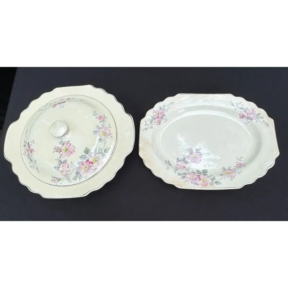 2 Vintage WS George LIDO Canarytone Pink Floral Bowls Serving Dishes -A84